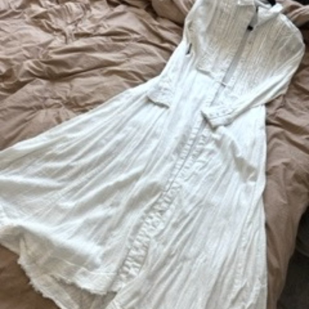Free People Long Sleeve Maxi Dress with Pockets!